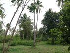 3 Acre & 30 Perch Land for Sale in Nattandiya - Kuliyapitiya Road