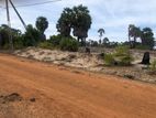 3 Acre Land for Sale Kilinochchi District-Poonakary