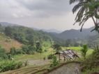 3-Acre Scenic Land for Sale – Hunnasgiriya, Keulgama (SL 14620)