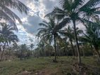 3 Acres Agricultural Land with Paddy Field – Hettigama, Wariyapola