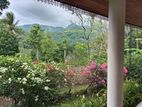 3 Acres House with land for Sale in Kandy