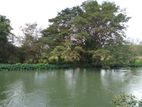 3 Acres Land For Sale - Elahera | Polonnaruwa