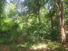 3 acres land for sale in Dambulla