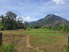 3 Acres Land for Sale in Dambulla