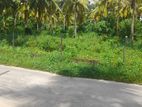 3 Acres Land For Sale in Homagama