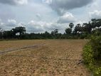 3 Acres Land for Sale Muththaiyankaddu