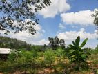 3 Acres of Flate Land for Sale in Avissawella - Colombo Line