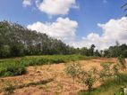 3 Acres of Flate Land for Sale in Avissawella - Colombo Line
