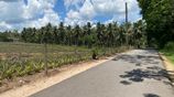3+ Acres of Land in Yatawathura for Sale