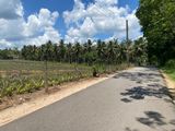 3+ Acres of Land in Yatawathura for Sale