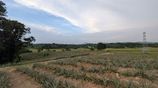 3 Acres of Land in Yatawathura for Sale