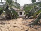 3 Bed House with 240 Perch Cocunut Estate Jaffna