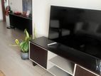 3 BHK Apartment For Rent in Colombo 5 - PDA419