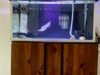 3 Feet Fish Tank