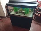 Aquarium Tank