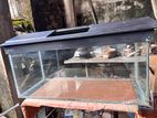 3Ft Fish Tank