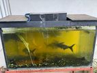 3 Feet Fish Tank