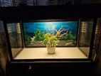 3 Feet Fish Tank