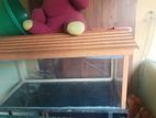 3 Feet Fish Tank