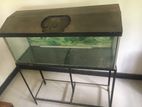 3 Feet Fish Tank