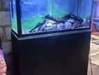 3 Feet Fish Tank