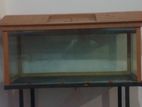 3 Feet Fish Tank