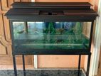 3 feet fish tank