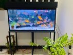 3 Feet Fish Tank