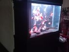 3 Feet Fish Tank