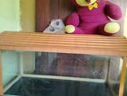 3 Feet Fish Tank