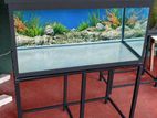 3 Feet Fish Tank with All Accessories