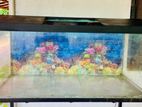 3 Feet Fish Tank with Stand