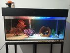 3 Feet Fish Tank with Stand