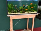 3 Feet Fish Tank with Table