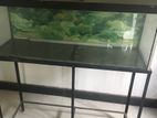 3 Feet Fish Tank