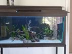 3 Feet Planted Fish Tank with Accessories Set