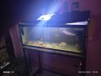 3 Feet Tank