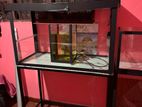 3 Fish Tank