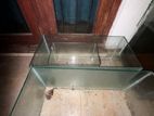 Fish Tanks