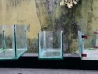 Fish Tanks