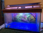 3ft Fish Tank