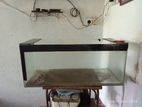 3 ft tempered glass Arowana fish tank