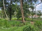 3 Plots for Sale – Yakkala / Miriswatta