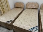 3 Single Beds with Mattresses 72“ x 36“