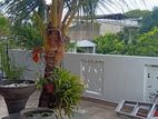 3-Storey House,The Upper 3rd Floor With Separate Entrance House For Rent