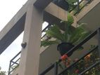 3-Story House with Rooftop for Sale in Nugegoda H2328