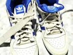 Adidas Shoe
