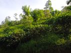 30 Acres Land at Kotapola, Close to Deniyaya