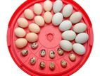 30 Eggs Incubator Fully Automatic