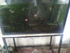 30 Inch Fish Tank with Assesories